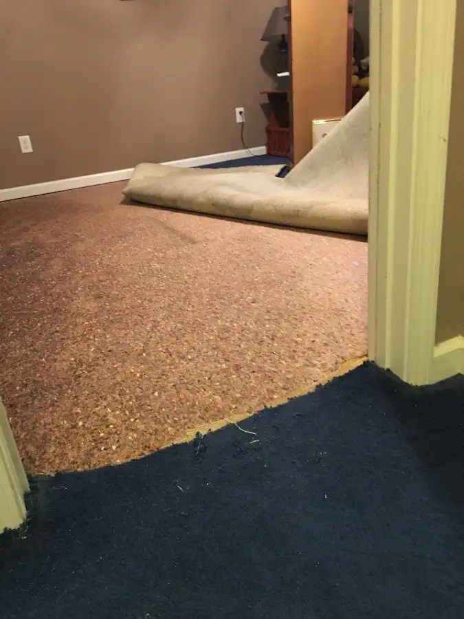 Carpet pad removal revealing water damage during Drying & Dehumidification in Harlingen