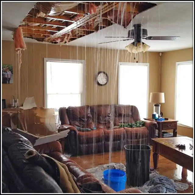 Water Damage Restoration services in Harlingen, TX