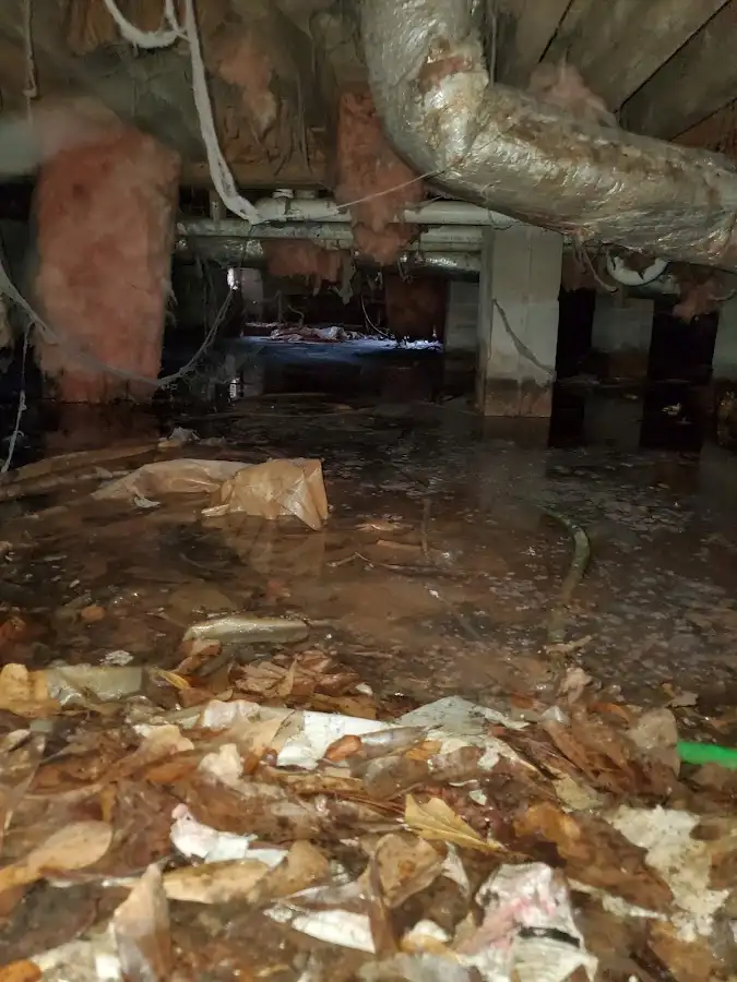Crawl space flood assessment for Leak Detection & Repair in Harlingen